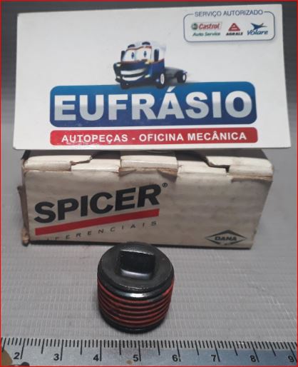 BUJAO OLEO DIFERENCIAL F250 F350 99ED DANA BF8T-4N082A