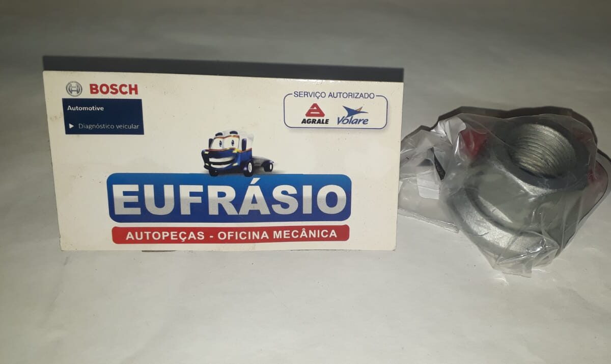 PORCA RODA AGRALE VOLARE CAMINHÃO 6F Nº 6007009353005